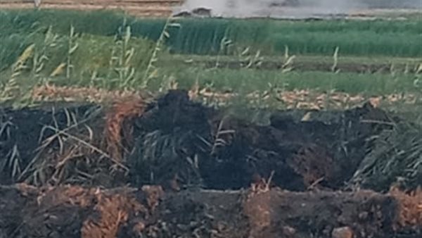 الحرق المكشوف للمخلفات