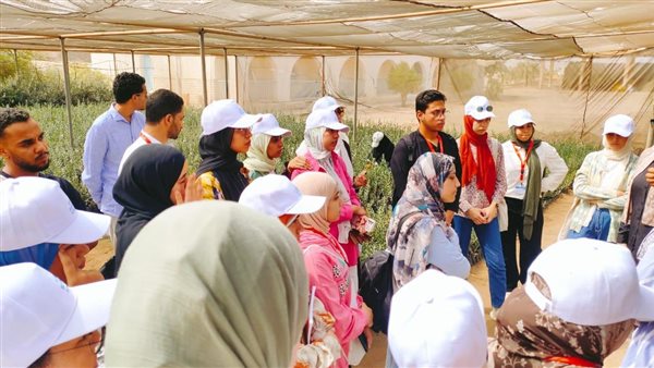 بحوث الصحراء