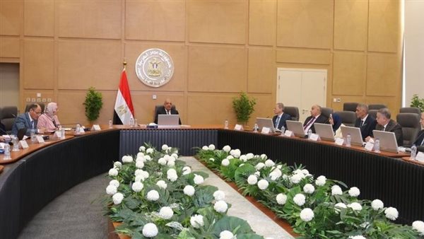 وزير الكهرباء 