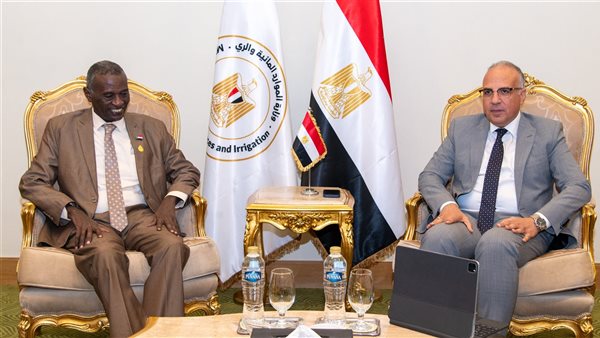 لقاء وزير الري ونظيره