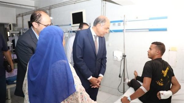 محافظ المنيا