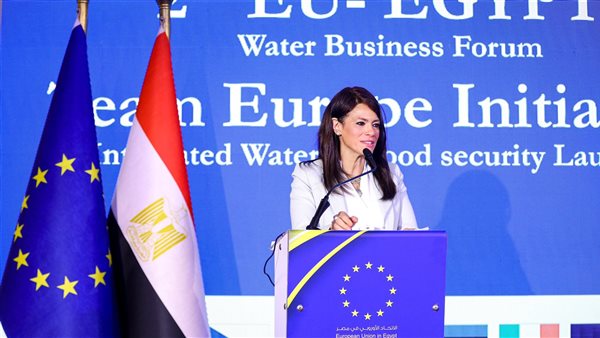 وزيرة التخطيط