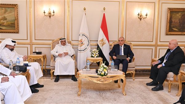 الدكتورهانى سويلم