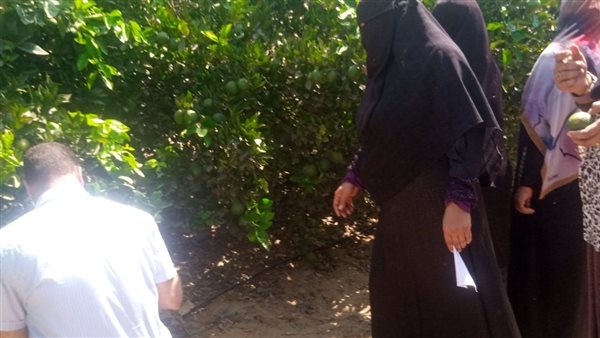 الإرشاد الزراعي