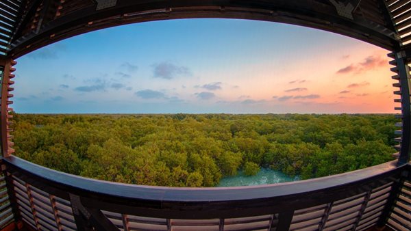 الحياد المناخي