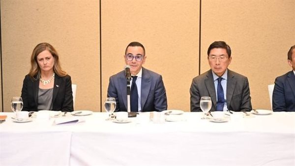 وزير الاستثمار 