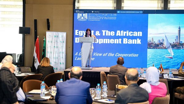 وزيرة التخطيط