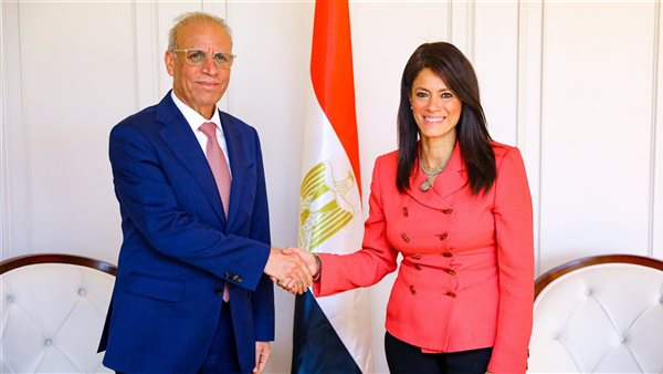 وزيرة التخطيط