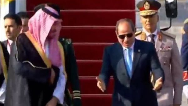 السيسي يستقبل ولي