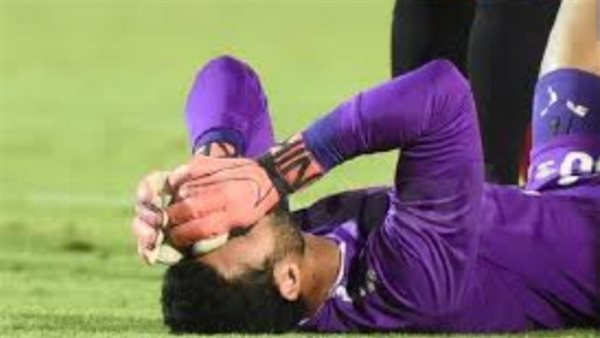 محمد الشناوي