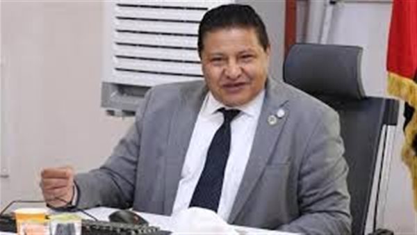 السفير مصطفى الشربيني