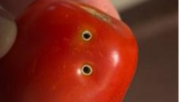 الحقيقة الكاملة وراء