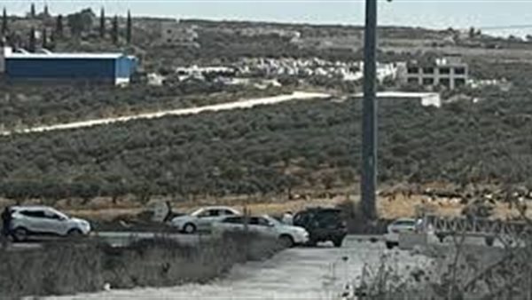 عملية البحر الميت