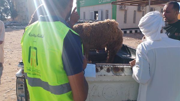 جانب من القافلة