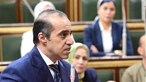  المستشار محمود فوزي