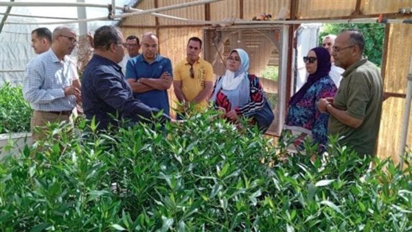 بحوث الصحراء