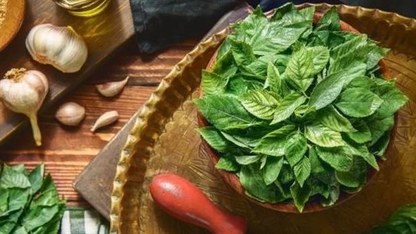 الملوخية الخضراء