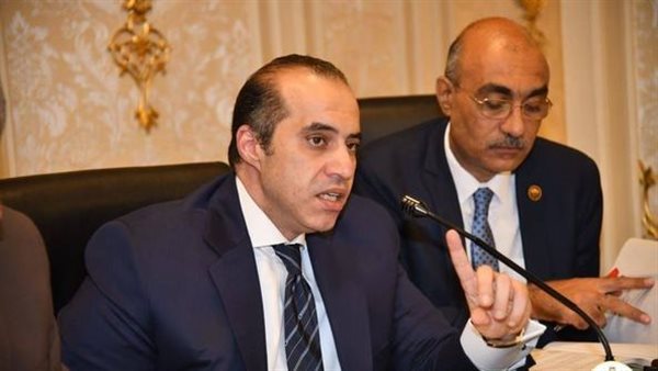 وزير الشئون النيابية