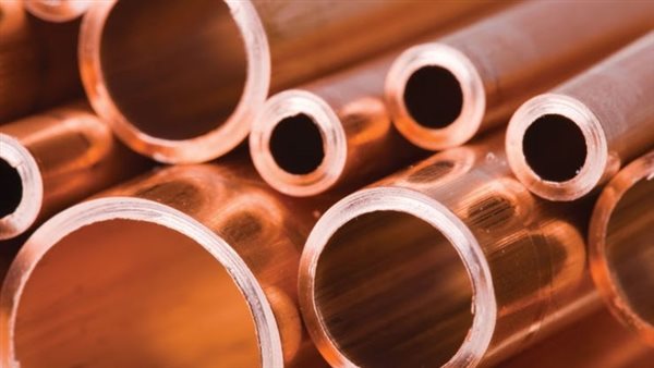 استقرار سعر كيلو