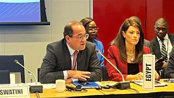 وزير المالية