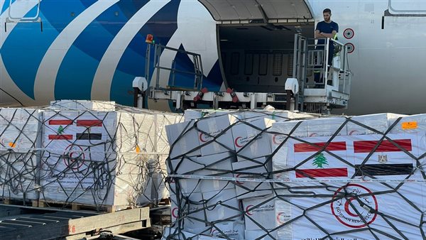 مصر ترسل شحنة مساعدات