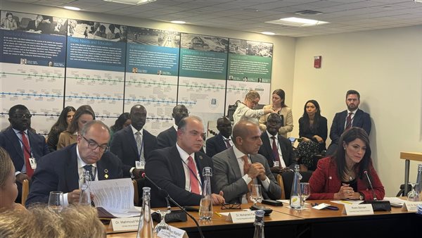 رانيا المشاط