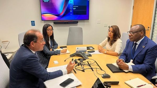 وزير المالية