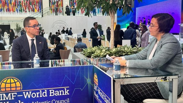 وزير الاستثمار