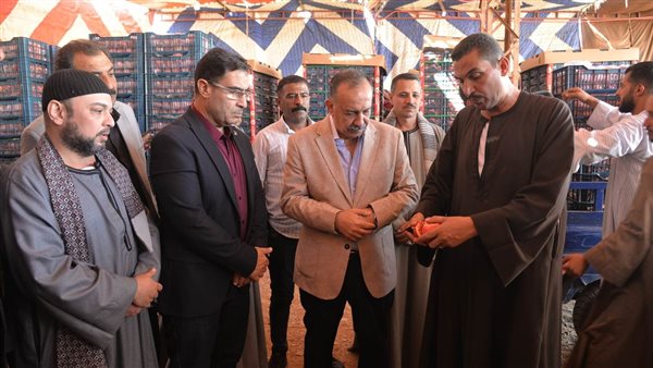 محافظ أسيوط 