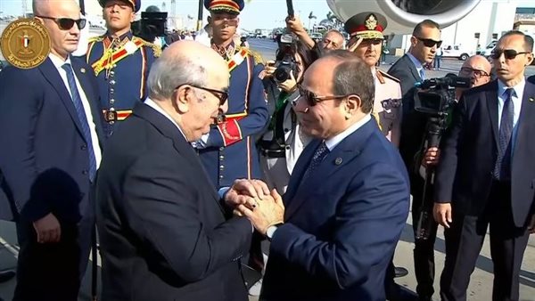 الرئيس السيسي ونظيره