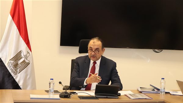 وزير قطاع الأعمال