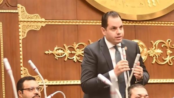  النائب أحمد فوزي