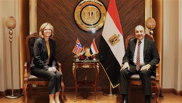 وزير قطاع الأعمال