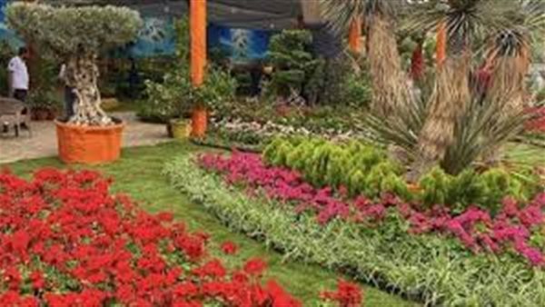 حديقة الأورمان