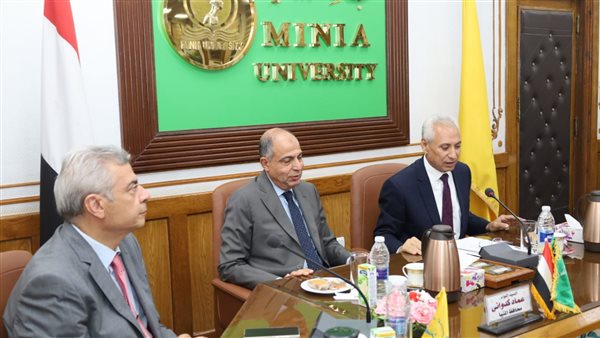 صورة توضيحية 