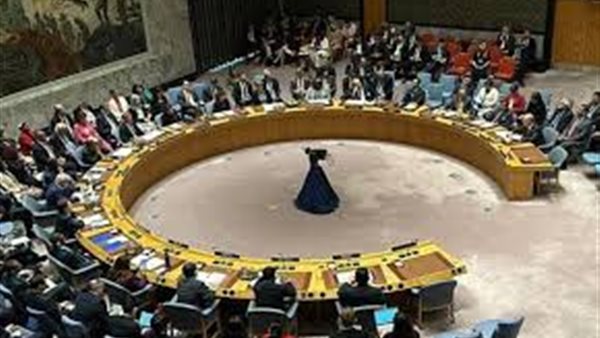 أرشيفية- مجلس الأمن