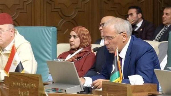 مندوب مصر لدى جامعة