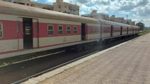 صورة توضيحية 