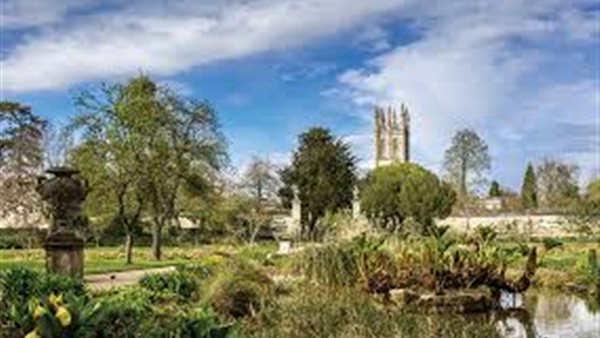 أرشيفية- حديقة الأورمان