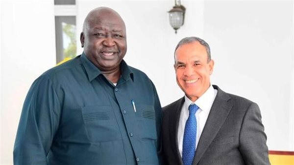 وزيرا خارجية مصر