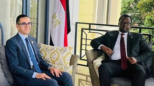 لقاء وزير الاستثمار