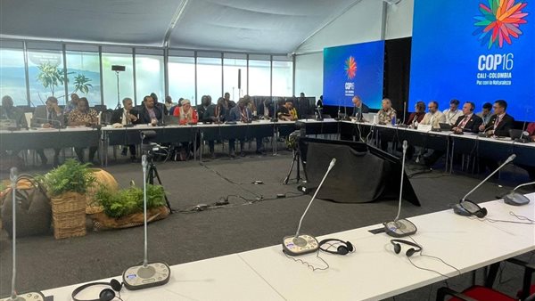 جانب من الاجتماع