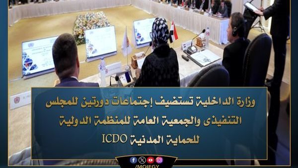  الإجتماعات السنوية