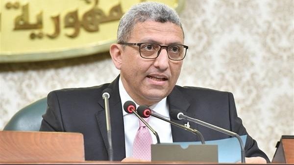 النائب عادل عبد الفضيل