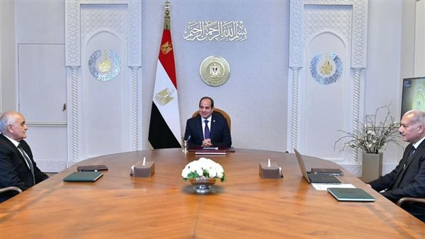 لقاء الرئيس السيسي