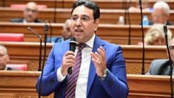  النائب أيمن محسب