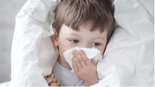 الفيروس التنفسي المخلوي