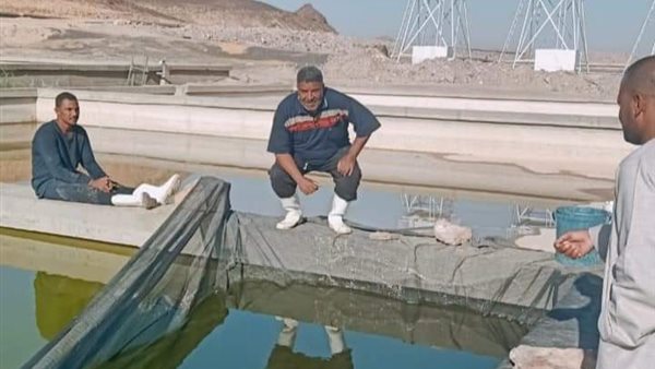 خلال الفاعليات