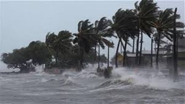 عاصفة أرشيفية