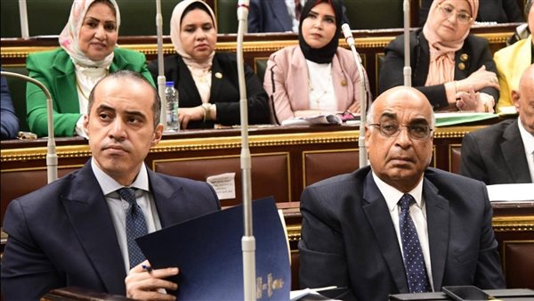 المستشار محمود فوزي